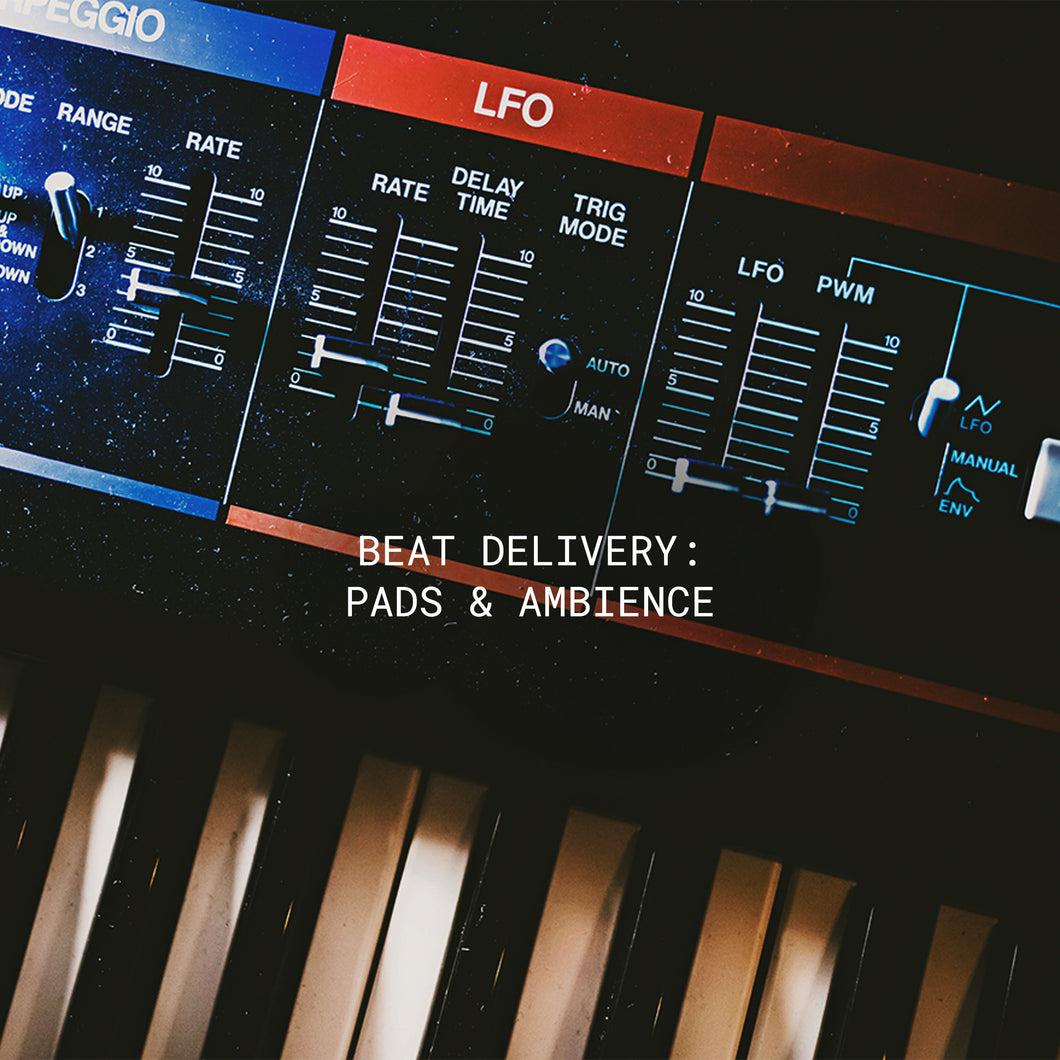 Beat Delivery - FREE Pad Samples