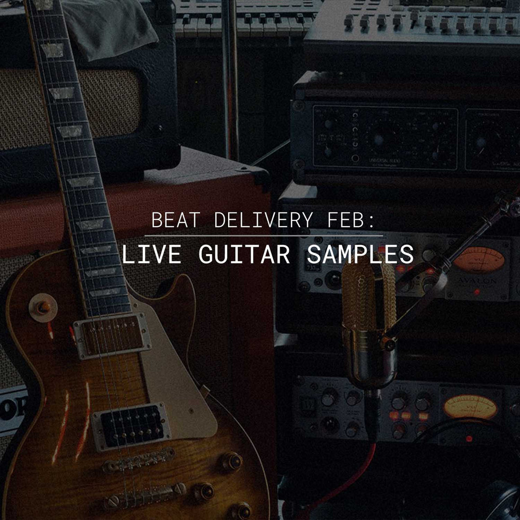 Beat Delivery February: Live Guitar Samples