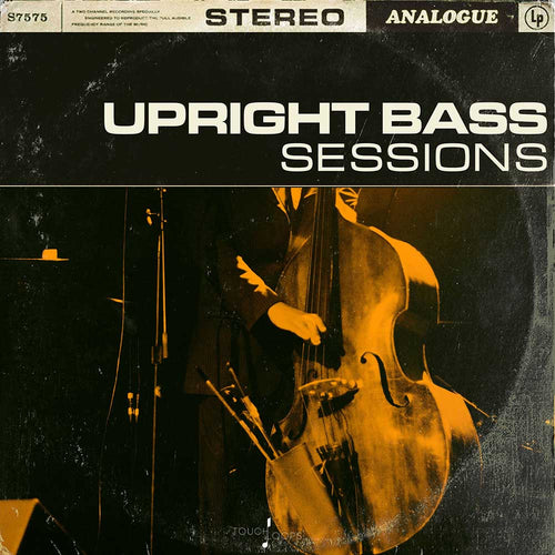 Upright Bass Sessions